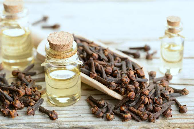Benefits of Clove Water and Oil for Hairloss and Skin Conditions – A Guide